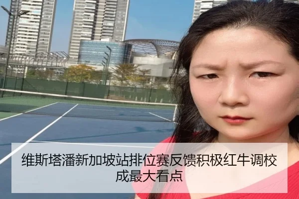 维斯塔潘新加坡站排位赛反馈积极红牛调校成最大看点
